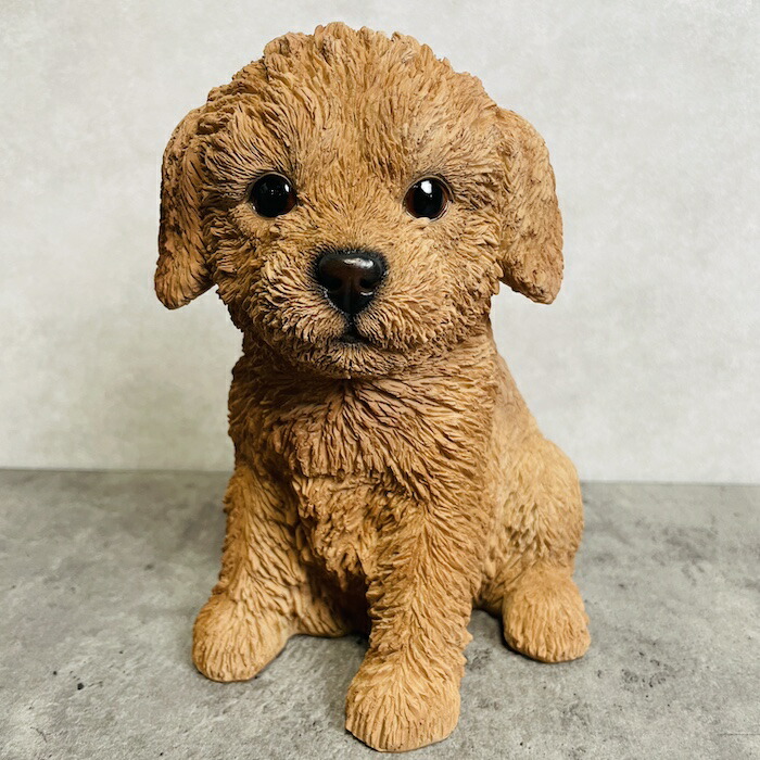楽天市場】かわいい 犬 置物 振り返るトイプードル 白 小 woobia