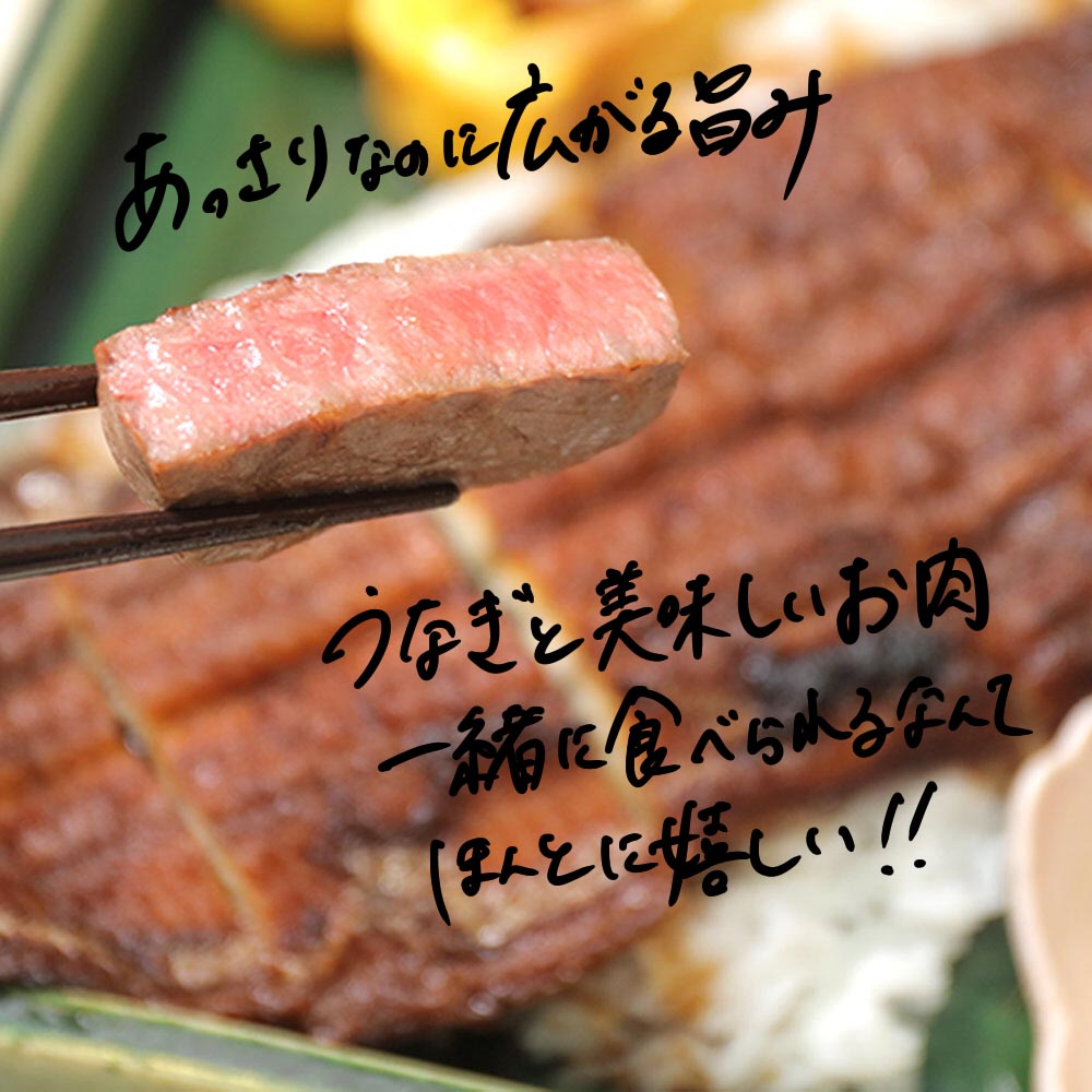 21年新商品 ギフト うなぎ 父の日限定商品 送料無料 精肉 肉加工品 三河一色 松阪牛 A5 送料無料食品 贅沢 2人前 松阪牛 三河一色産 特大 ステーキ グルメセット 赤身 うなぎ蒲焼き 250g 松阪牛 A5 赤身 ステーキ 特大 うなぎ 蒲焼 夢の極上グルメセット 21年新商品 ギフト うなぎ 父の日限定商品 送料無料 精肉 肉加工品 三河一色 松阪牛 A5 送料無料食品 贅沢 2人前 松阪牛 三河一色産 特大 ステーキ グルメセット 赤身 うなぎ蒲焼き 250g 松阪牛 A5 赤身 ステーキ 特大 うなぎ 蒲焼 夢の極上グルメセット