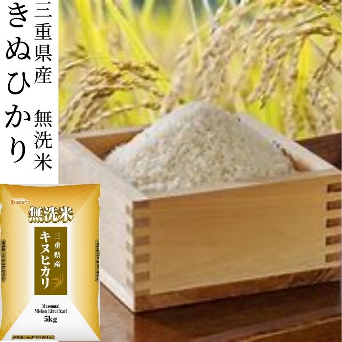 あんず　きぬひかり　精米　20kg あんず様専用 きぬひかり 精米 20kg