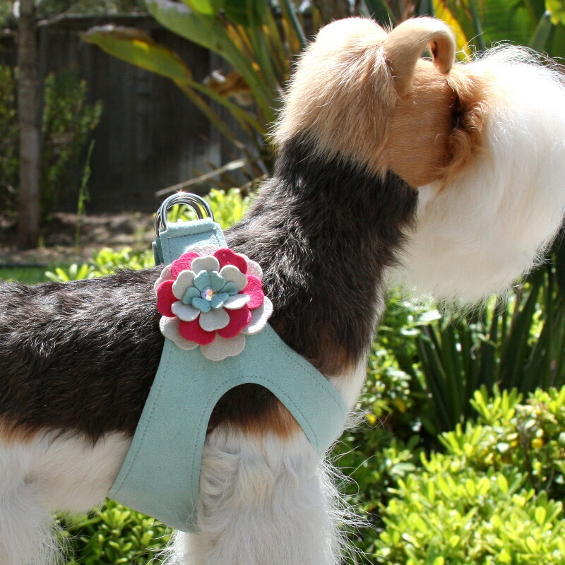 楽天市場】☆Susan Lanci/スーザンランシー☆Angela Harness