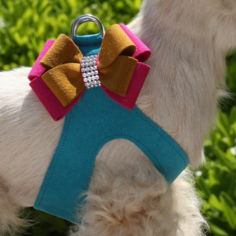 楽天市場】☆Susan Lanci/スーザンランシー☆Rock Star Harness_