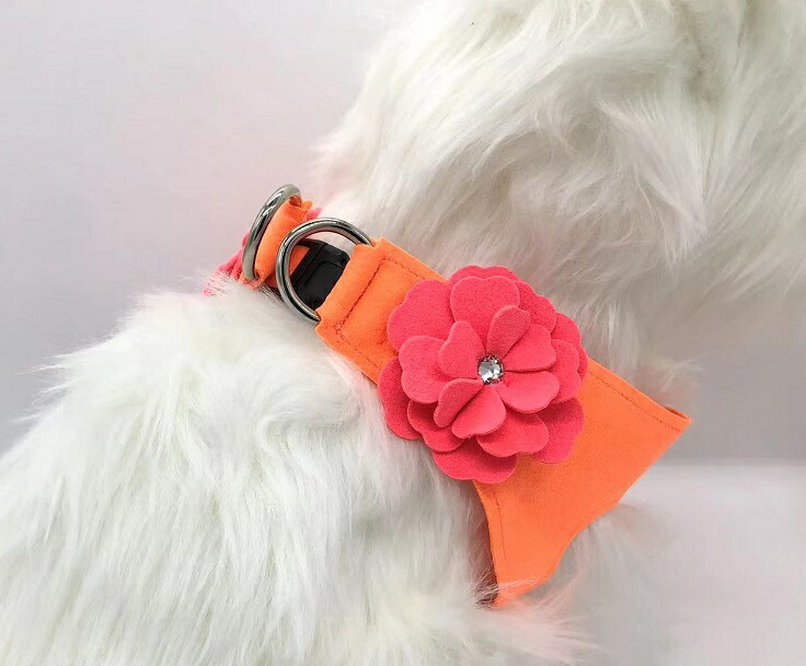 楽天市場】☆Susan Lanci/スーザンランシー☆Rock Star Harness_