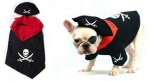 楽天市場】☆IN N OUT BURGER☆インアンドアウト バーガー 犬用