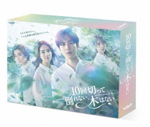 【特典付】10回切って倒れない木はない DVD BOX (初回仕様) [DVD]｜ぐるぐる王国FS 店