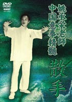 中国意拳精髄 散手 [DVD]