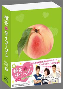 桃花タイフーン!! ノーカット版 DVD-BOX II（通常版） [DVD]｜ぐるぐる王国FS 店