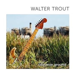 輸入盤 WALTER TROUT / COMMON GROUND （GREEN ／ WHITE ＆ BLACK MARBLED） [2LP]