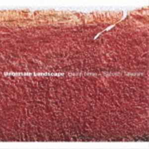 野瀬栄進 / Uncertain Landscape [レコード 12inch]