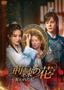 荊棘〈いばら〉の花～奪われた私～ DVD-BOX2 [DVD]