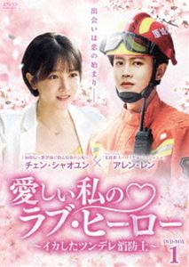 愛しい私のラブ・ヒーロー ～イカしたツンデレ消防士～ DVD-BOX1 [DVD]