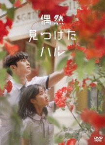 偶然見つけたハル DVD-BOX1 [DVD]｜ぐるぐる王国FS 店