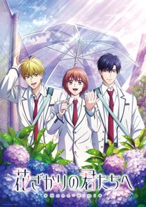 花ざかりの君たちへ 第2期 DVD BOX Vol.2【完全生産限定版】 [DVD]｜ぐるぐる王国FS 店