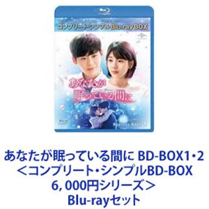 あなたが眠っている間に BD-BOX1・2＜コンプリート・シンプルBD-BOX6，000円シリーズ＞ [Blu-rayセット]
