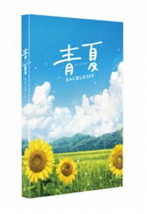 青夏 きみに恋した30日 豪華版DVD [DVD] 4,322円