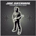 輸入盤 JOE SATRIANI / STRANGE BEAUTIFUL MUSIC [CD]画像