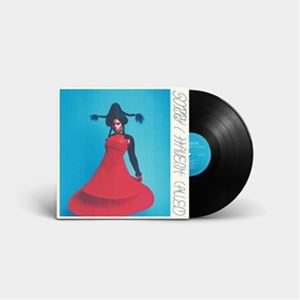 輸入盤 VAGABON / SORRY I HAVEN’T CALLED [LP]