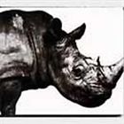 新品未開封　Mr.Children 1992-2010 4枚セット CD】Mr.Children 1992-1995 Mr.Children / Mr.Children 1992