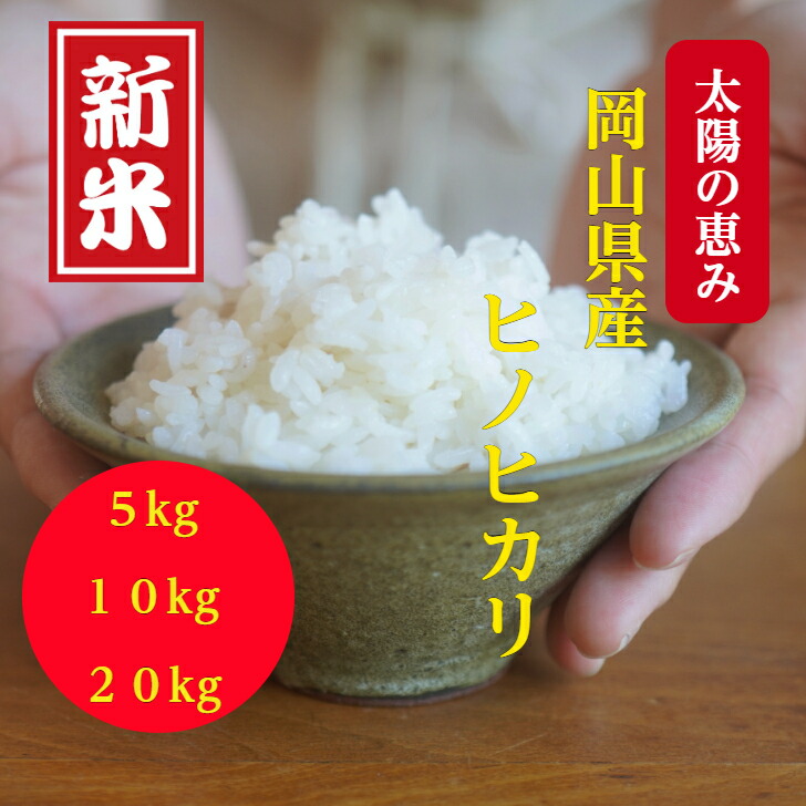 鹿児島県産ヒノヒカリ 10kg 令和5年産BG無洗米鹿児島県ヒノヒカリ 10kg K226-004_04 - 鹿児島県