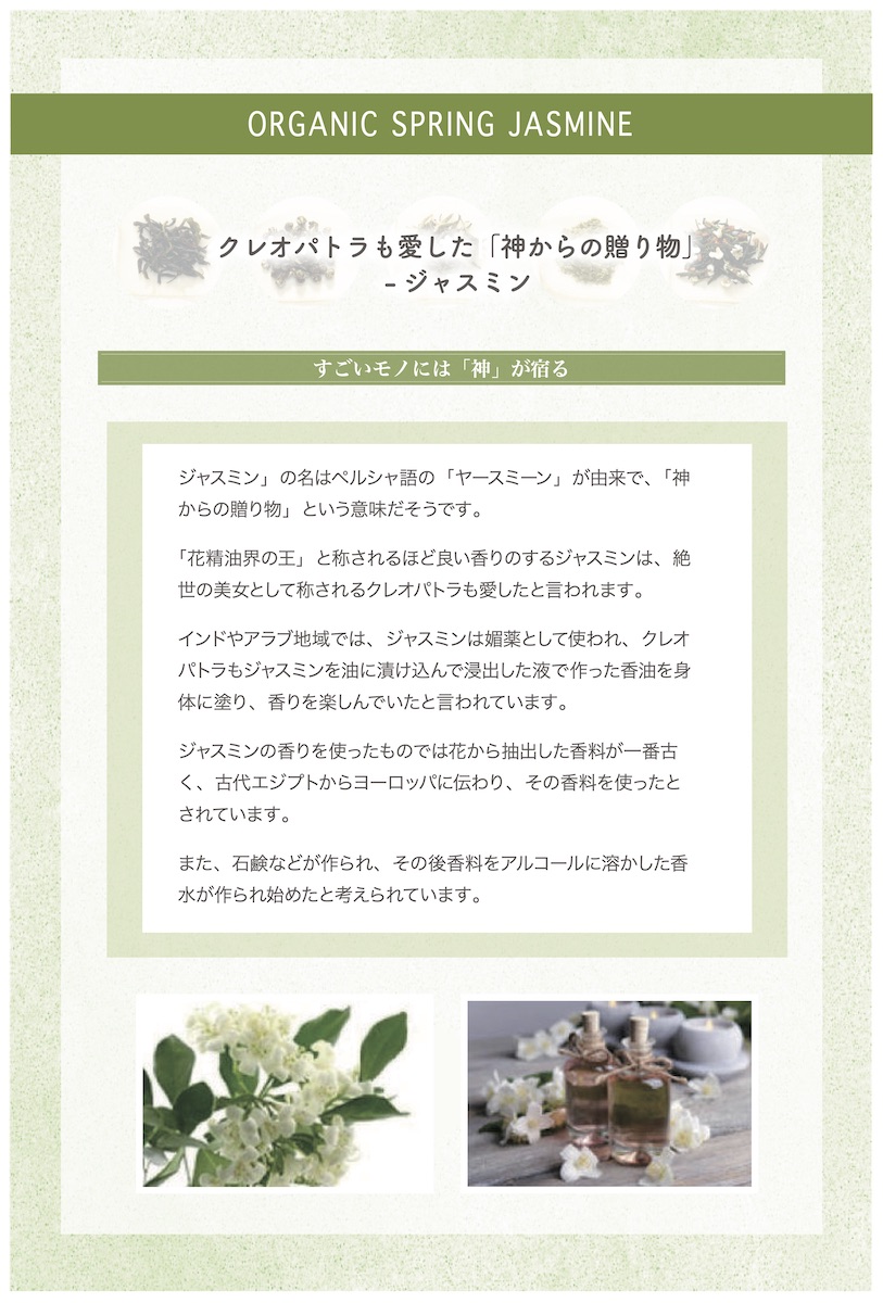 楽天市場 オーガニックスプリングジャスミン 10g 賞味期限22年8月31日 マイティーリーフ オーガニック 緑茶 茶葉 リーフティー ジャスミン ブレンド ギフト お試し Mighty Leaf Tea