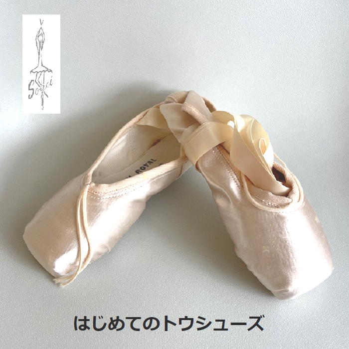 楽天市場】トウシューズ 【 BLOCH 】 ヘリテージ : ブロック の