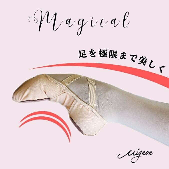 楽天市場】【スーパーセール全品P5倍】 バレエ トレーニングシューズ