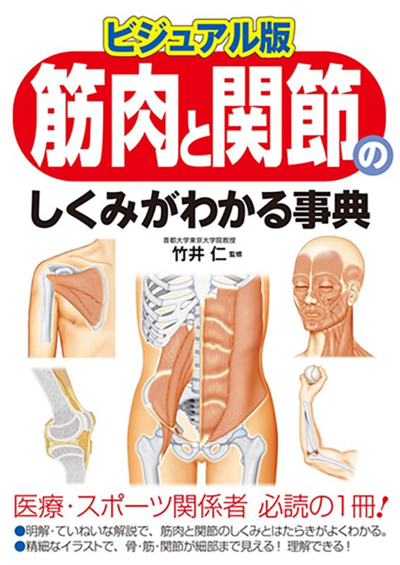 楽天市場】一生役立つ きちんとわかる解剖学 筋肉 骨 体のしくみを