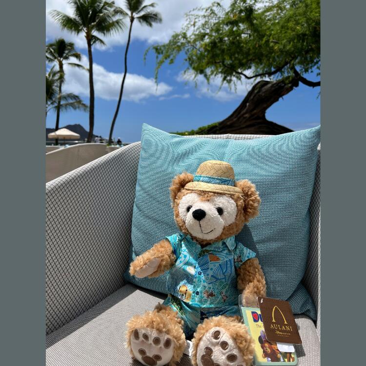 爆買いセール 22年5月超最新入荷 大人気 ダッフィー ぬいぐるみ アウラニ リゾート ディズニー Duffy 新 洋服 ギフトラッピング おみやげ お土産 ダッフイーアンドフレンズ テディベア くま ディズニーシー Www Kinsbraegroup Com