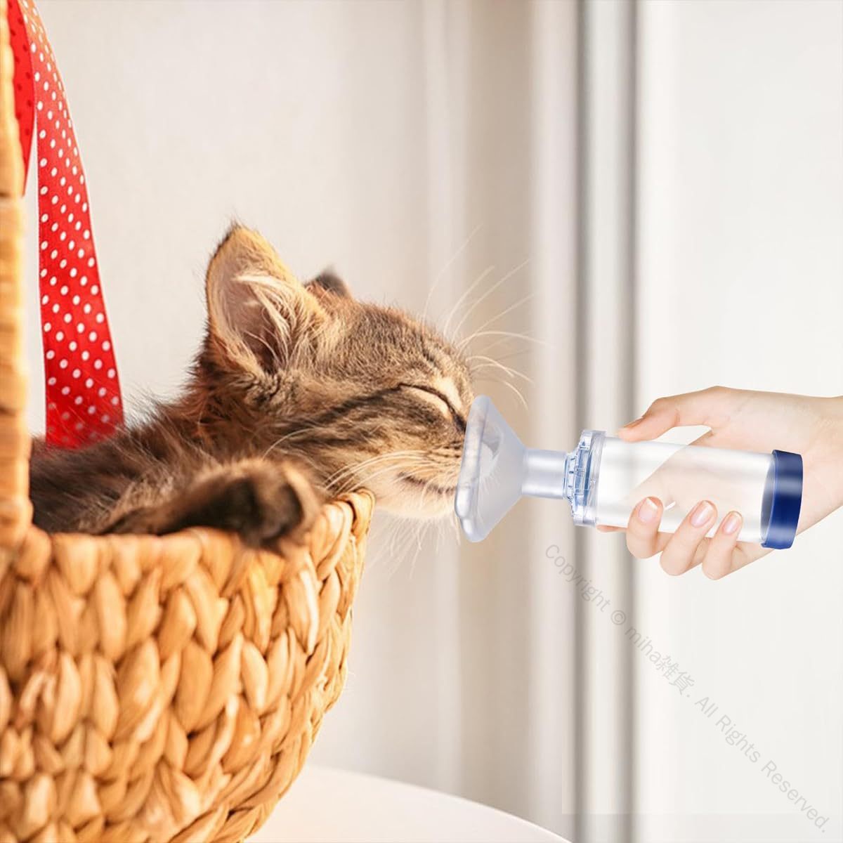 楽天市場】猫用吸入器スペーサー 吸入器エアロゾルチャンバー 猫 犬用