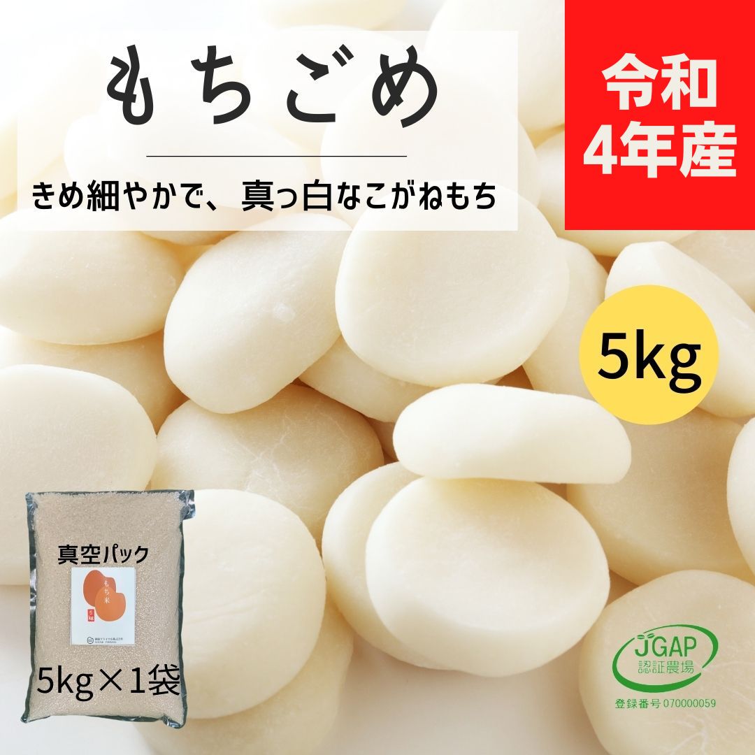 【ポイント変倍中！】もち米 5kg 1袋 令和４年産 こがねもち 餅米 5キロ 真空パック お餅 おこわ おはぎ おしるこ お取り寄せ  炊込みご飯 お米 赤飯 お赤飯 餅つき 雑煮 あんこ餅 鏡餅 一升餅 イベント 臼 杵 きな粉餅 紅白餅 お祝い 餅 笹餅 ちまき