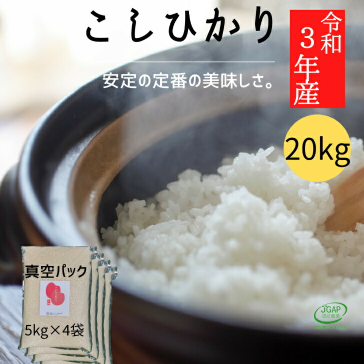 楽天市場】こがねもち 5kg 1袋 （令和2年産） 福島 お取り寄せ 産地直送 もち米 餅米 もち米 米 5キロ 真空パック お餅 手作り もちごめ  餅米5キロ 餅米 5キロ おこわ おはぎ おしるこ おいしい パック 米 お米 おこめ こめ 福島県産 : お米農家【御稲プライマル】