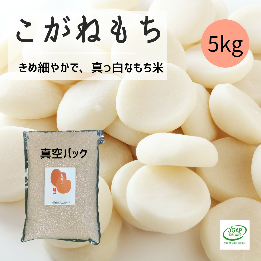 市場 こがねもち もち米 もちごめ 5kg 福島 お取り寄せ 5キロ 1袋 餅米 お餅 手作り 米 産地直送 真空パック 令和2年産