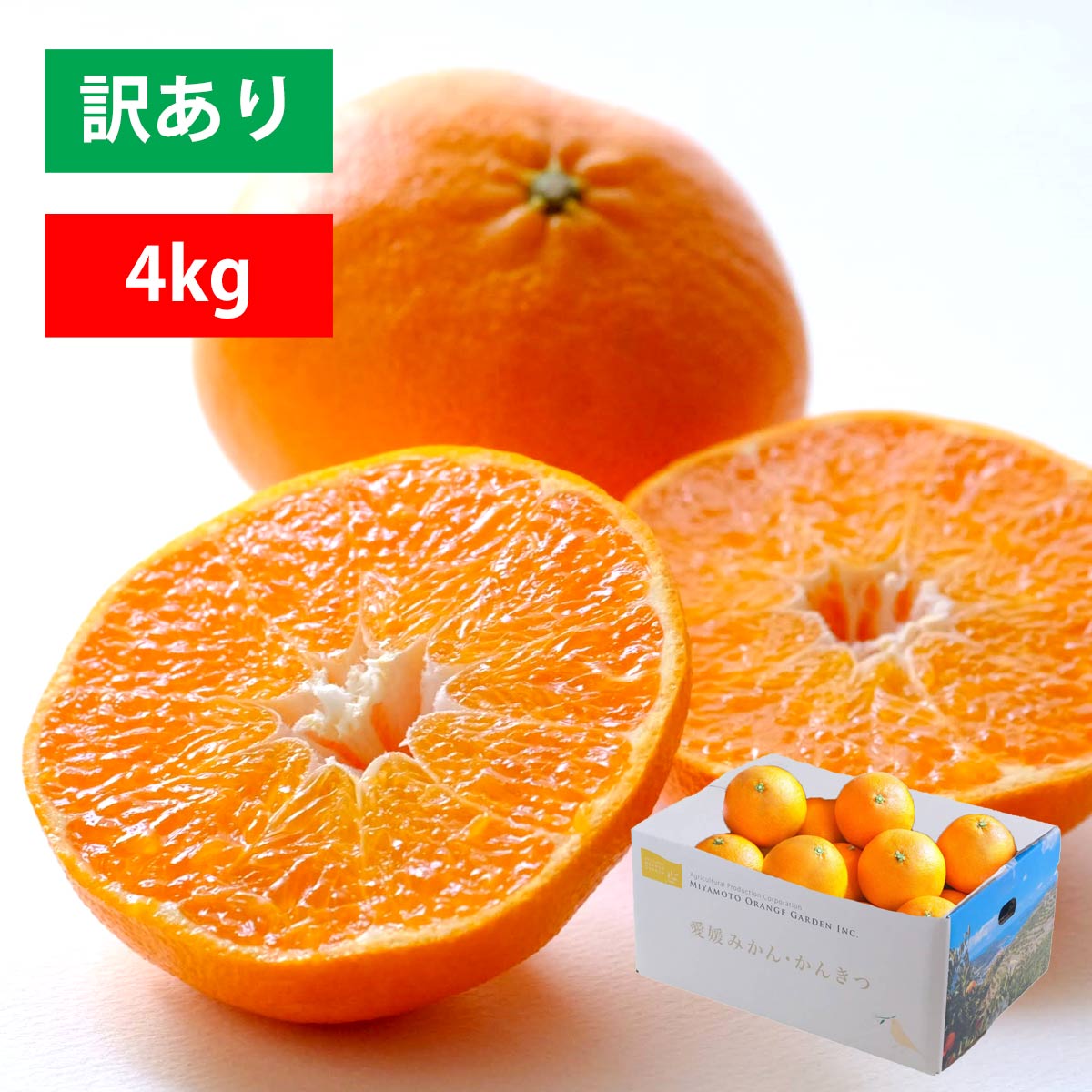 楽天市場】みかん 訳あり 2kg 甘平 かんぺい 濃厚 甘い 高級 愛媛 ご