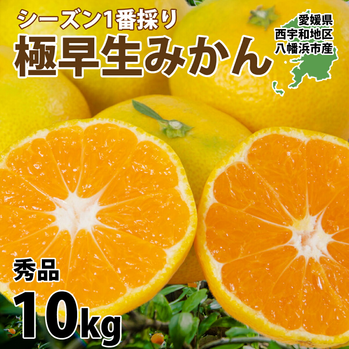 楽天市場】みかん 愛媛 訳あり 10kg 箱買い 八幡浜市 西宇和地区 ブランド 厳選 旬 甘い 濃厚 みずみずしい ご家庭用 2S～3Lサイズ  50～160玉前後入り 予約 11月上旬頃より順次出荷予定 : みかんの花