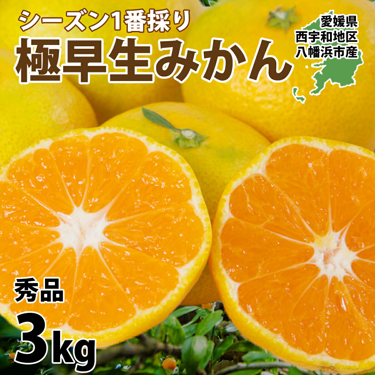楽天市場】みかん 愛媛 訳あり 5kg 箱買い 西宇和地区八幡浜市産 極早生 2S～3Lサイズ 25～60玉入り ご家庭用 予約 10月上旬頃より順次 出荷予定 : みかんの花