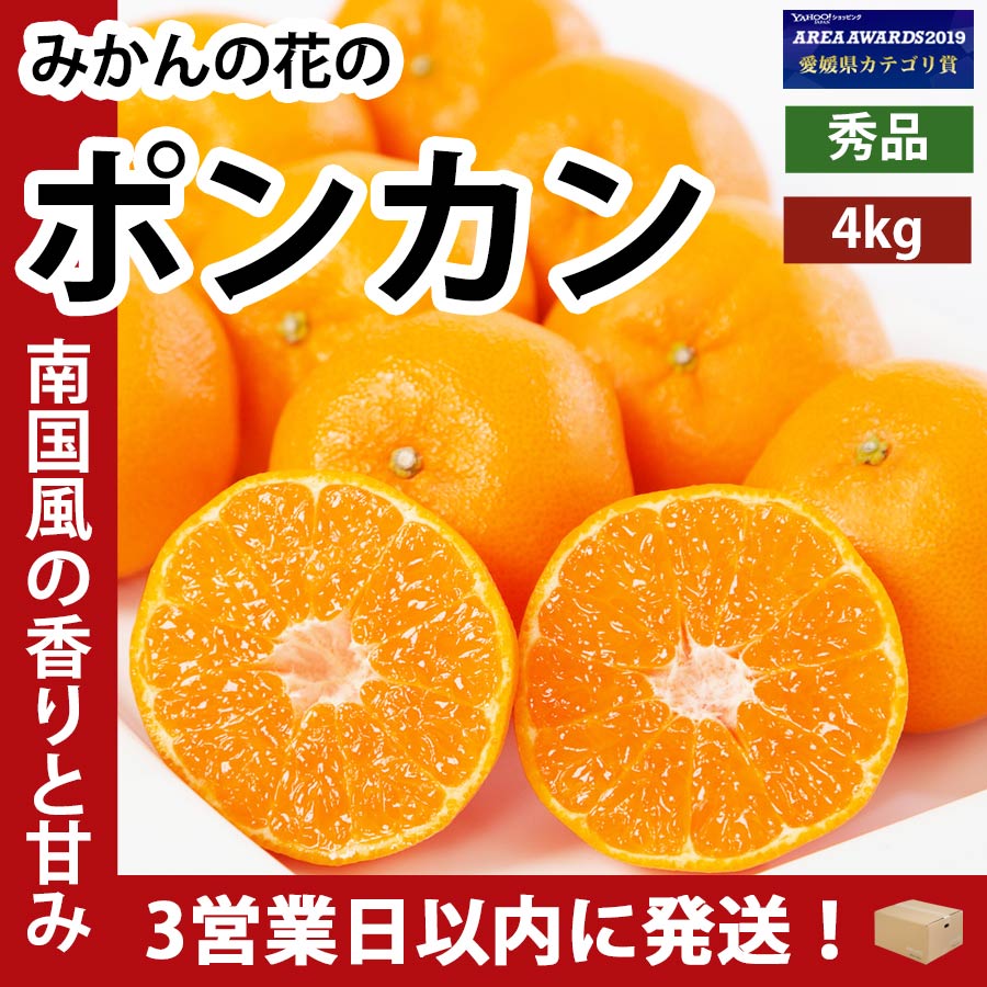 【楽天市場】ポンカン ぽんかん 椪柑 愛媛 秀品 4kg 甘い 濃厚 旬 晩柑 送料無料 3営業日以内に発送：みかんの花