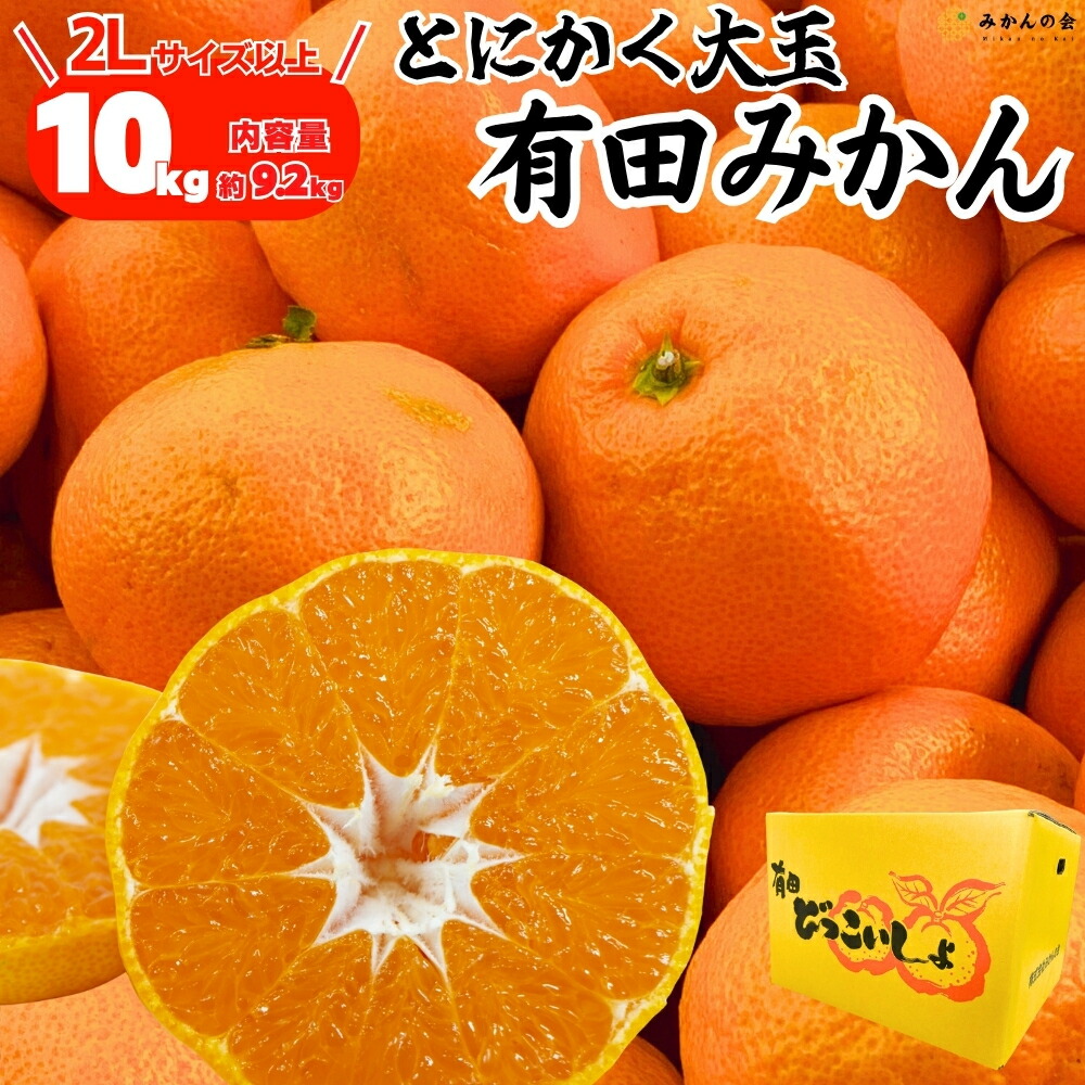 楽天市場】有田みかん 10kg ギフト 贈答用 Mサイズ 送料無料 創業120年