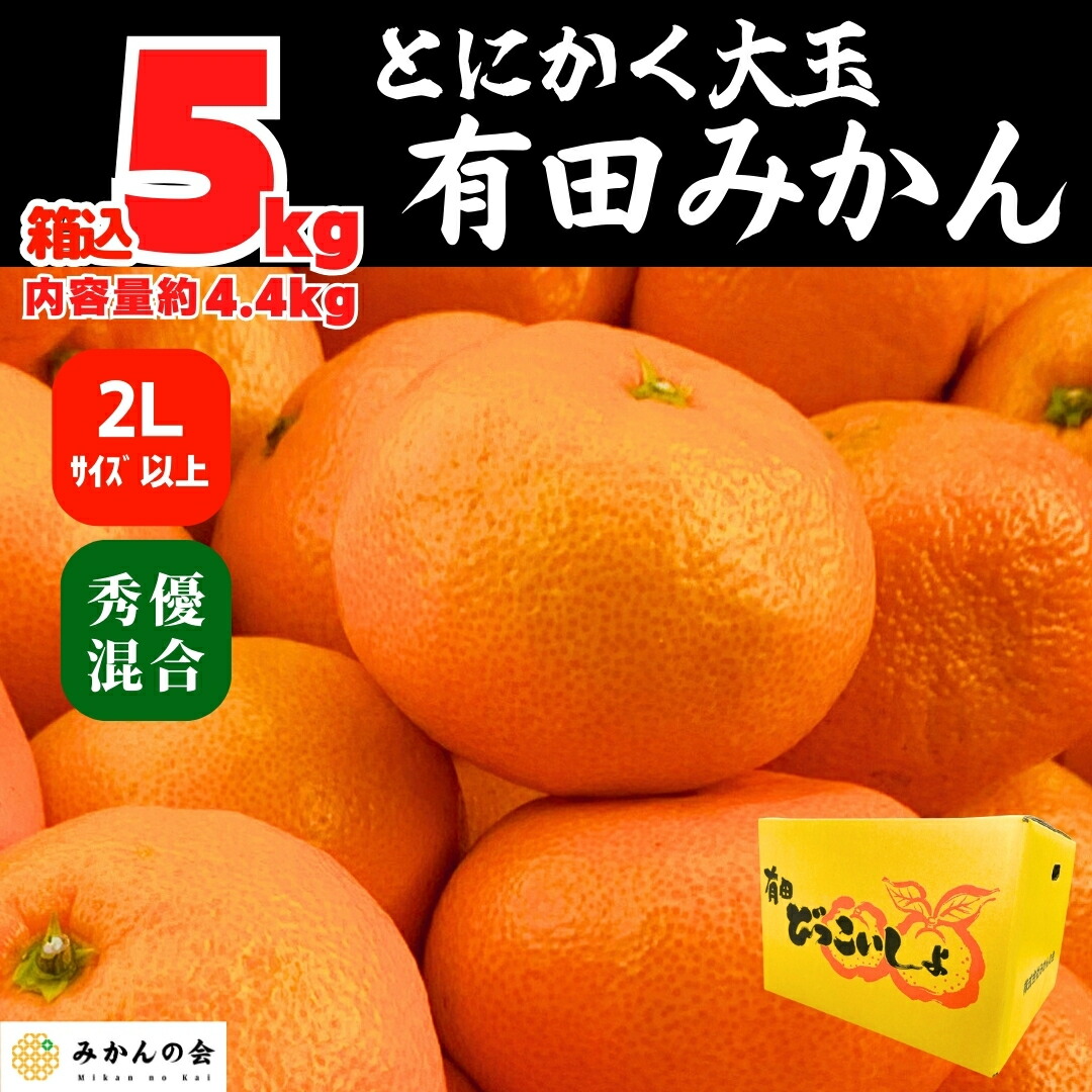 2025新商品 楽天市場】【予約】 (内容 10kg 箱込 山から直送 みかん 極早生 白米・胚芽米