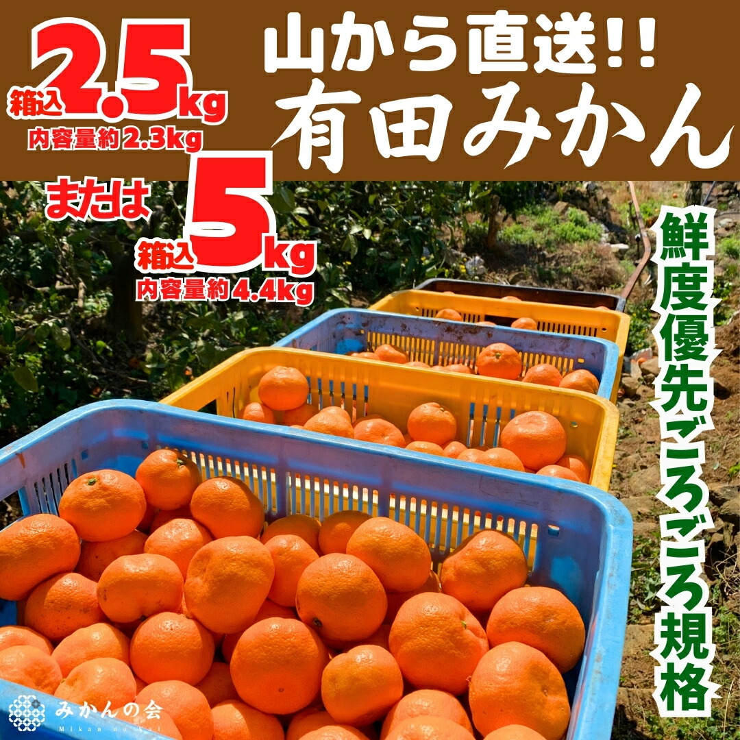 入荷now 口コミ みかん 極早生 楽天市場】【予約】 山から直送 (内容 10kg 箱込 白米・胚芽米