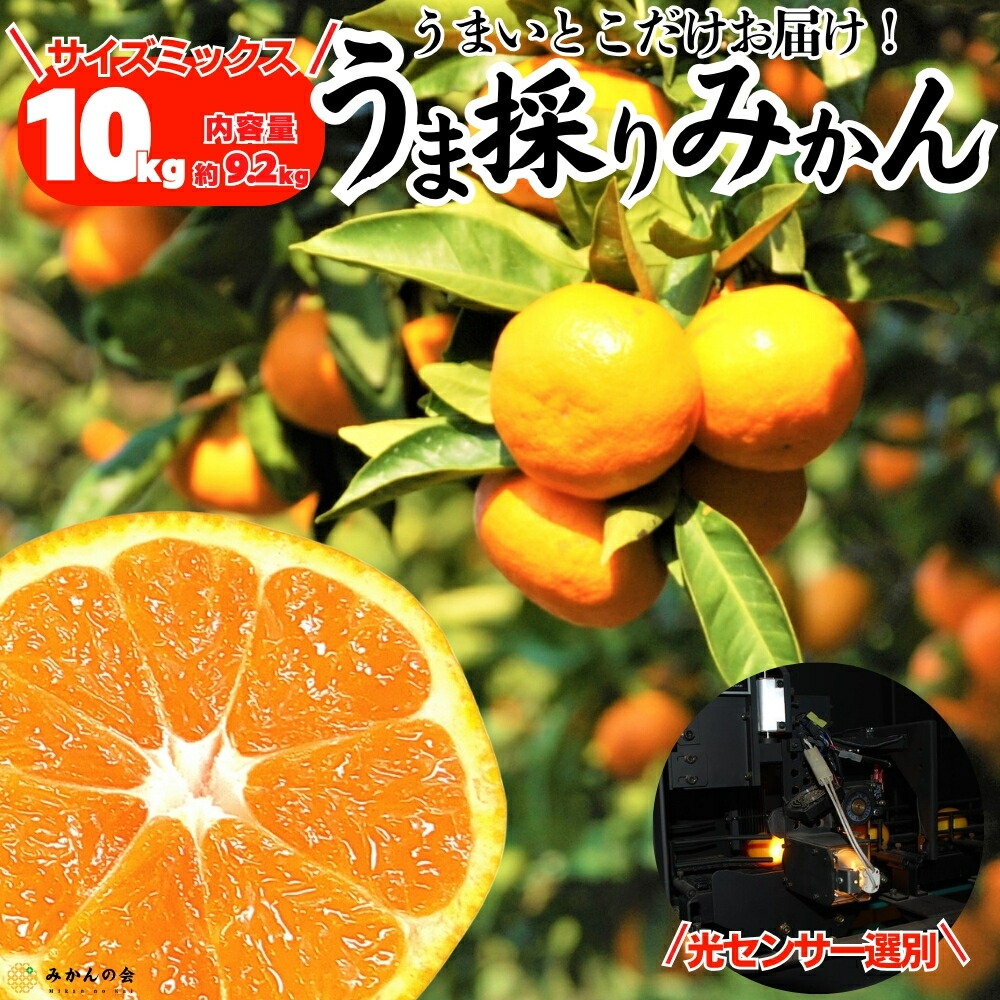 贈答用】有田みかん Mサイズ 10k 【公式通販】