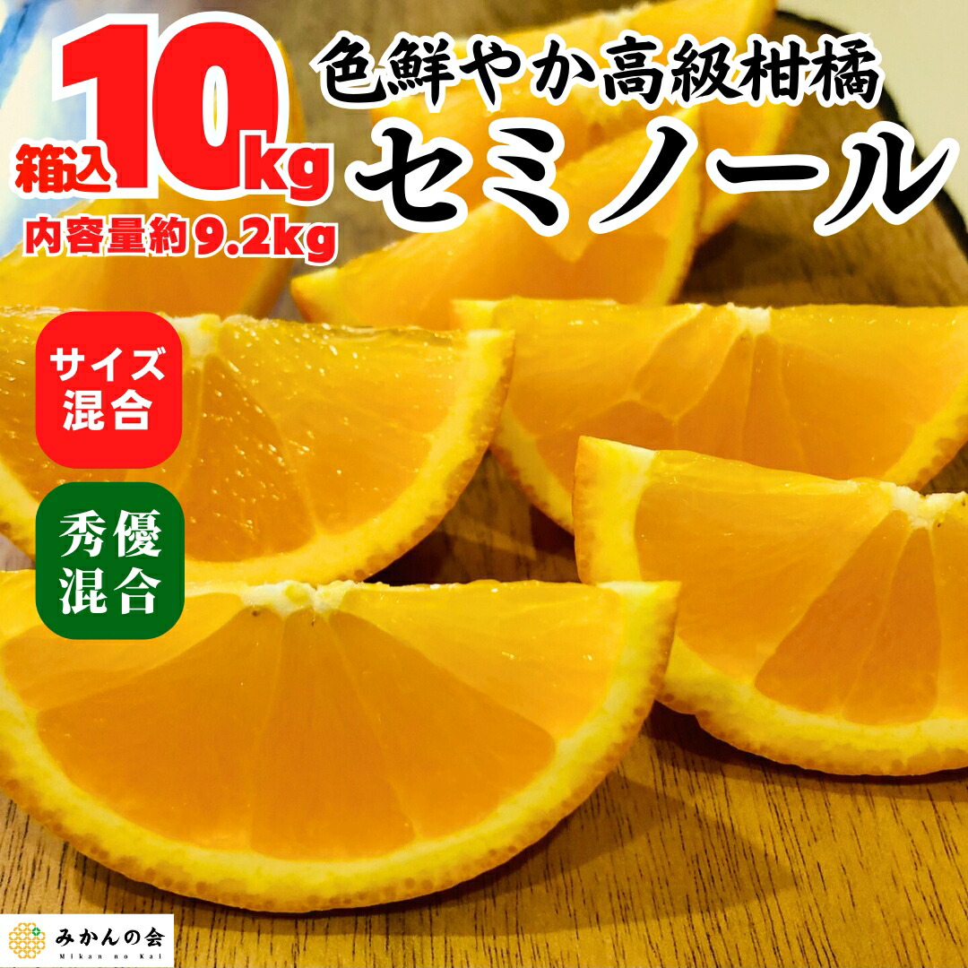 セミノール 箱込 10kg (内容量約 9.2kg) 秀品優品混合 サイズミックス 和歌山県産 セミノールオレンジ 初夏 みかん10キロ 春みかん 旬の果物 旬のフルーツ 柑橘系 果物 旬 ギフト 甘いみかん 産地直送 オレンジ ミカン 蜜柑 甘い 【みかんの会】 4月下旬より出荷