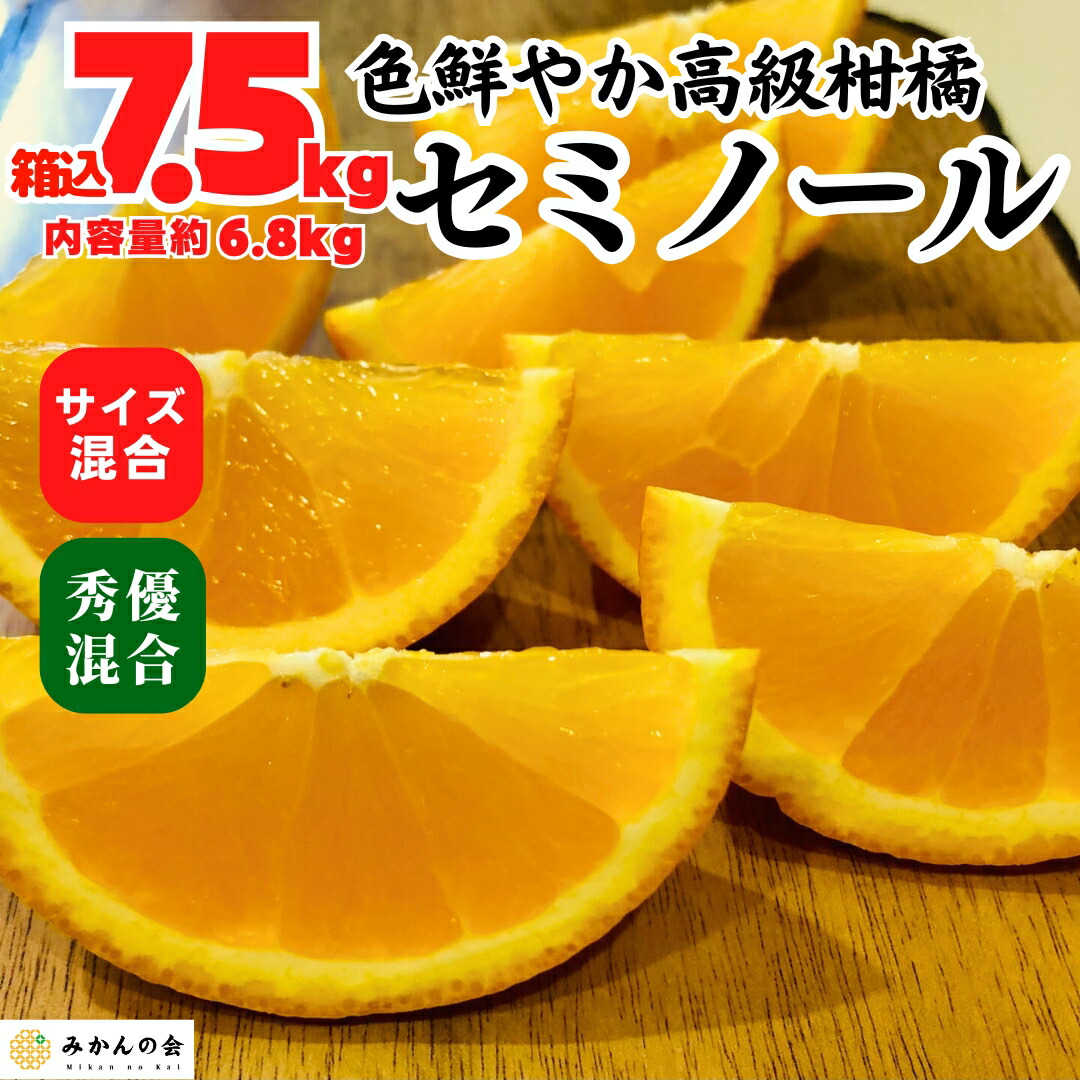 セミノール 箱込 7.5kg (内容量約 6.8kg  ) 秀品優品混合 サイズミックス 和歌山県産 産地直送  オレンジ ミカン 蜜柑 mikan 甘い 果汁 【みかんの会】 4月下旬より出荷