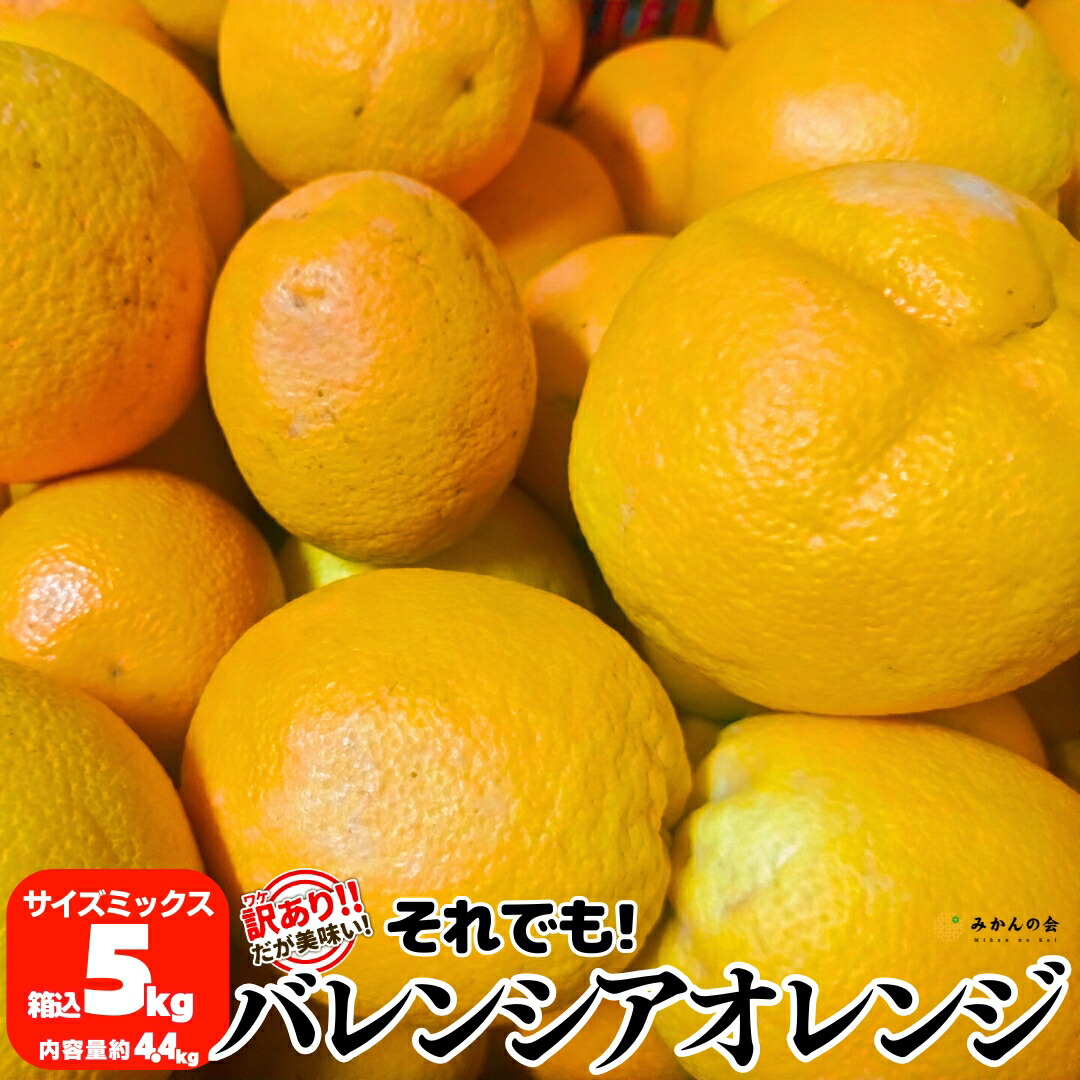 楽天市場】田村出荷組合 バレンシアオレンジ 赤秀 2L (38玉