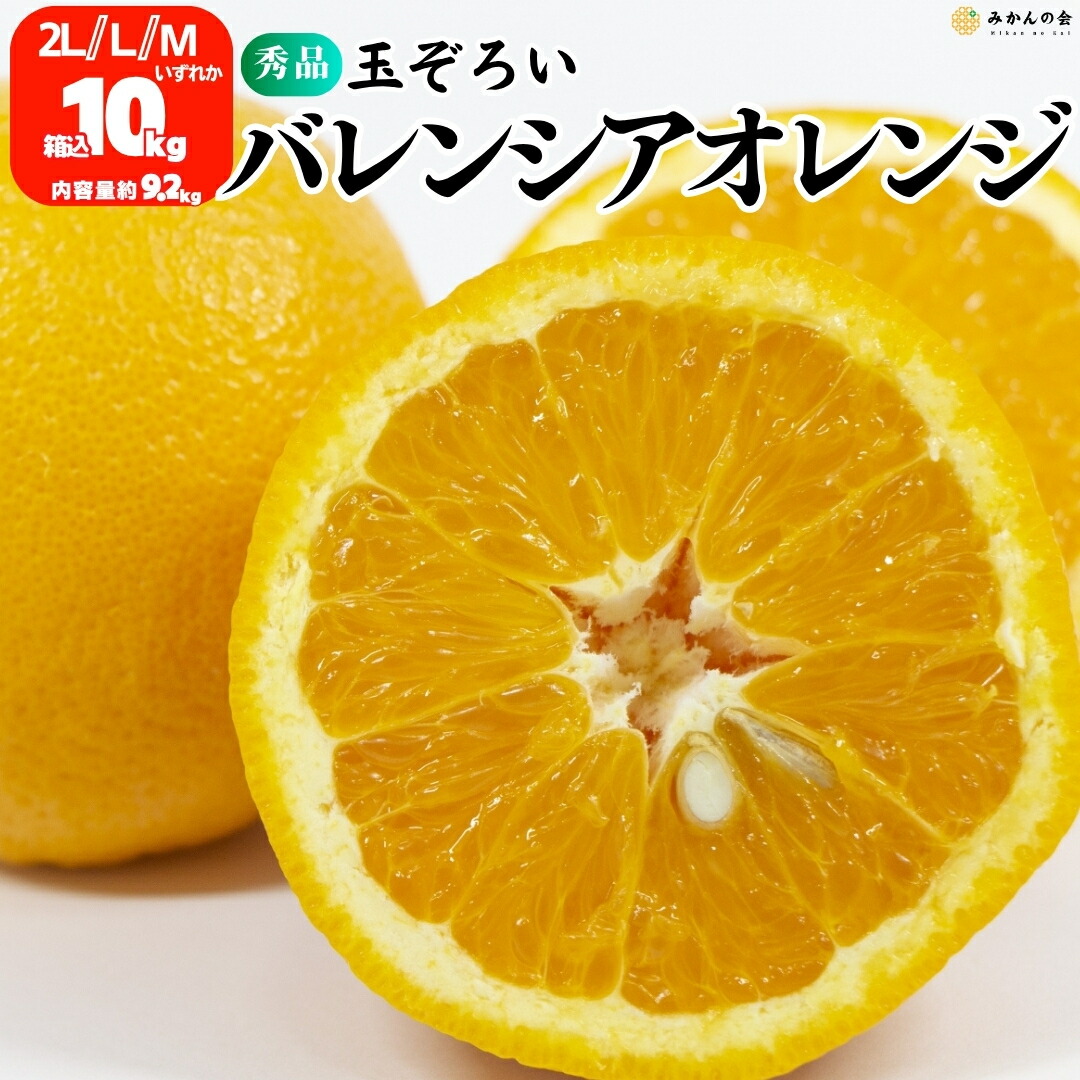和歌山県紀南産　訳ありバレンシアオレンジ20㎏　サイズ混合 和歌山県紀南産 訳ありバレンシアオレンジ20㎏ サイズ混合
