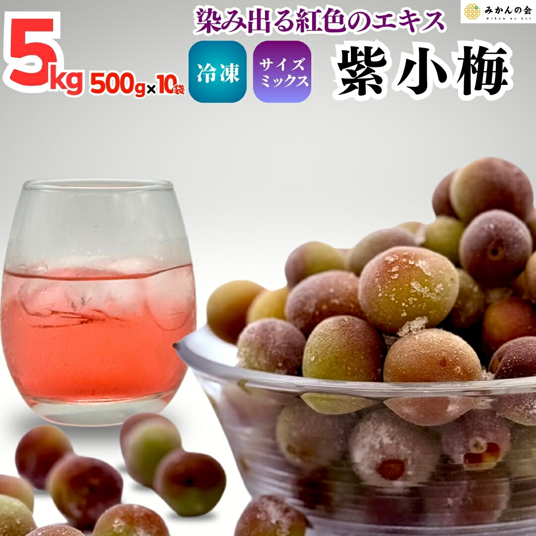 0615❄️クール便「冷凍紫小梅」4kg 青梅系　梅酒　シロップ用(梅干し不可) 0615❄️クール便「冷凍紫小梅」4kg 青梅系 梅酒 シロップ用