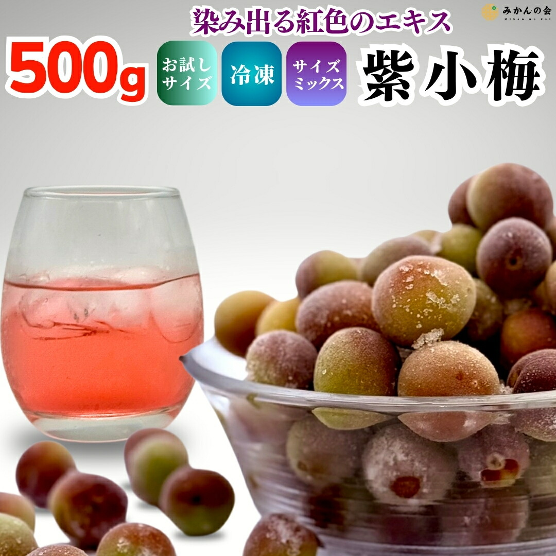 0615❄️クール便「冷凍紫小梅」4kg 青梅系　梅酒　シロップ用(梅干し不可) 0615❄️クール便「冷凍紫小梅」4kg 青梅系 梅酒 シロップ用