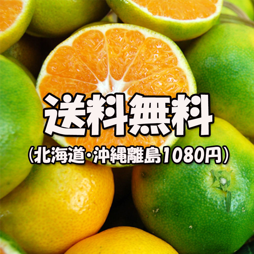 完成品 極早生みかん 極早生 みかん 愛媛県産 超早出し Ｓ-3Ｓ小玉 不揃い 約2ｋｇ 初物 新物 送料無料 ostermalm.fi