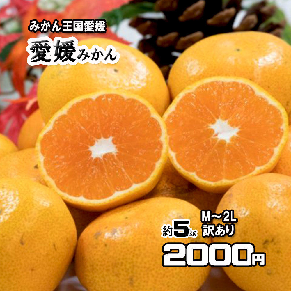 楽天市場 10月下旬頃発送予定 みかん 箱買い 訳あり 愛媛みかん 温州みかん 5ｋｇ 甘いみかん 送料無料 みかん横丁