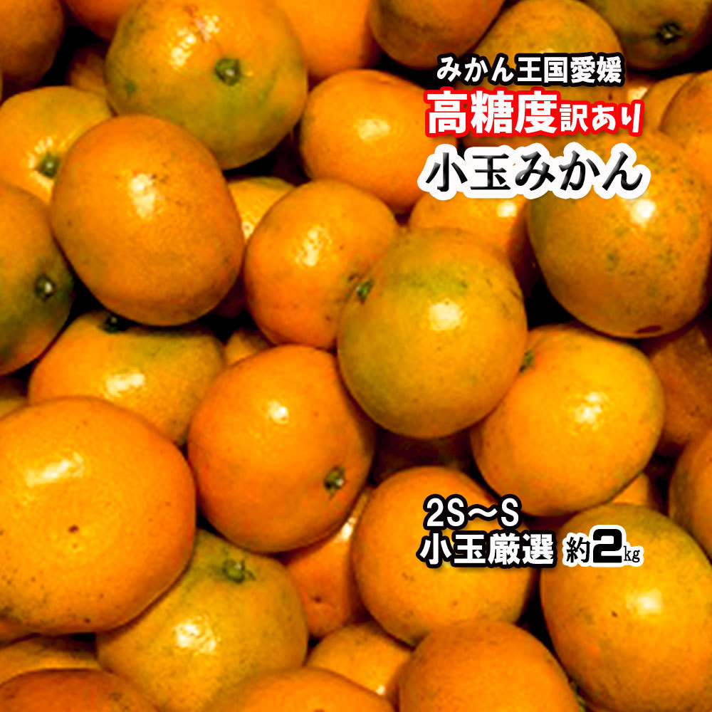 楽天市場】【 10月下旬頃発送予定 】 みかん 真穴みかん 贈答用 真穴 S M L いずれか 約3ｋｇ 送料無料 予約販売 : みかん横丁