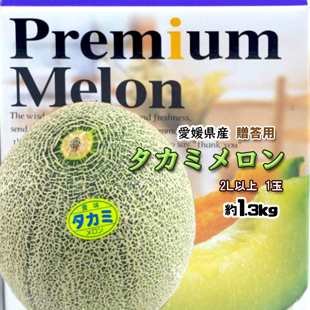 タカミメロン メロン 愛媛県産 ネット系 贈答用 1玉 約1.3ｋｇ 化粧箱入 送料無料 みかん横丁