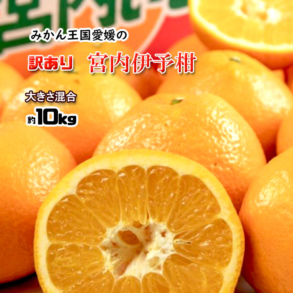 楽天市場】はるか 訳あり 箱買い 希少柑橘 送料無料 愛媛県産 約